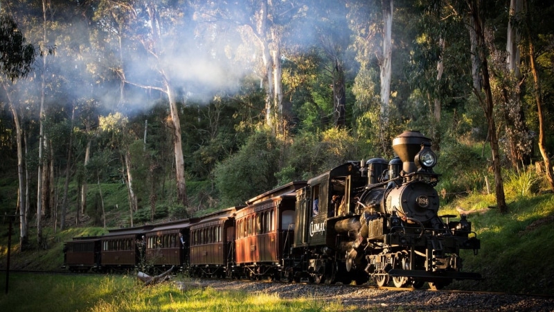 no people, mode of transportation, 1080P, railway, brown, trees, grass, steam locomotive, day, outdoors, steam, rail transportation, railroad track, sunlight