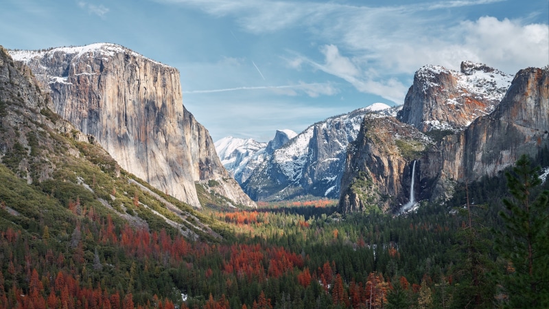 mount, nature, mountain, forest, united states, rock - object, el capitan, mount scenery, autumn, outdoors, massif, pine woodland, environment, beauty in nature