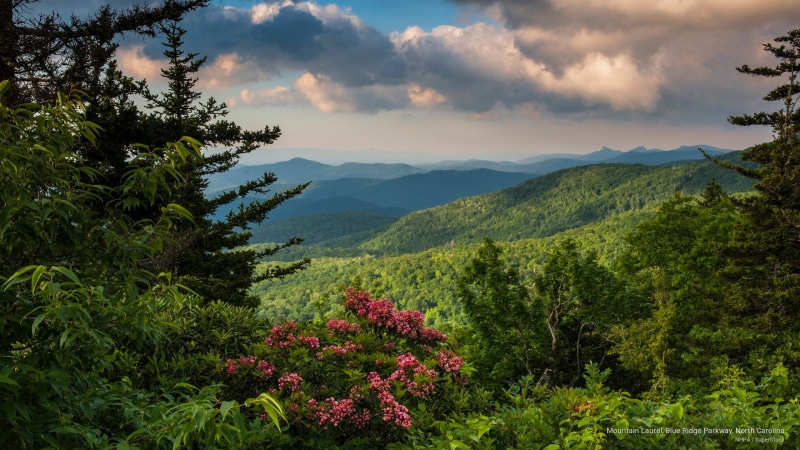 laurel, Spring/Summer, ridge, blue, 2K, carolina, north, parkway, mountain