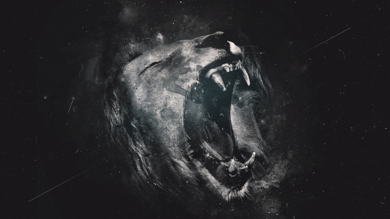animal wildlife, lion, digital art, mouth, black background, nature, night, 1080P, emotion, digital composite, animals, sea, outdoors, water, one animal