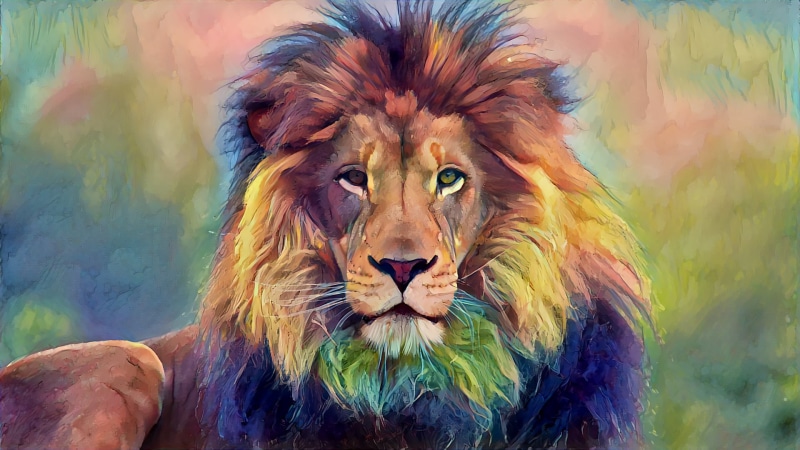 vertebrate, focus on foreground, front view, painting, looking at camera, one animal, animal wildlife, lion, day, feline, mammal, animals, lion - feline