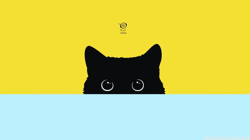 minimalism, black, digital, copy space, studio shot, pets, feline, domestic cat, indoors, vertebrate, no people, animal, one animal, yellow, black color