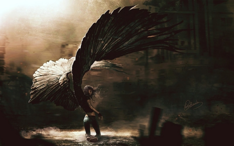 full length, animal wildlife, feather, day, spread wings, motion, dark, mid-air, animals in the wild, flying, one person, digital, 720P, one animal, outdoors