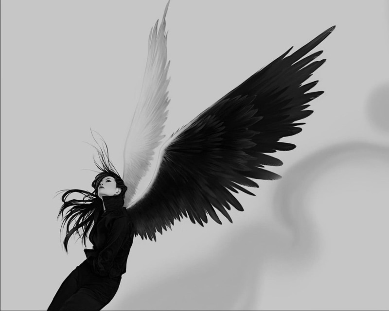 feather, vertebrate, woman, young women, day, artwork, 720P, lifestyles, bird, clear sky, sky, women, wings, hair, angel, hairstyle, young adult, black