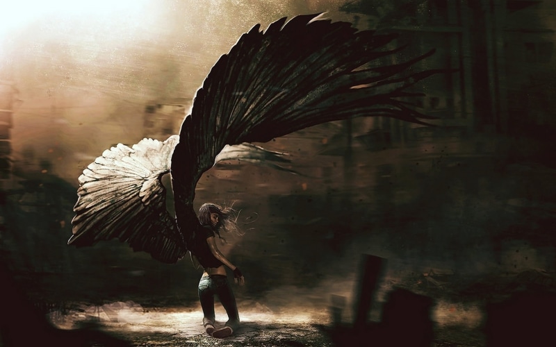 vertebrate, spread wings, cultures, females, outdoors, flying, wings, feather, people, woman, angel, women, animals in the wild, animal wildlife, day, 1080P