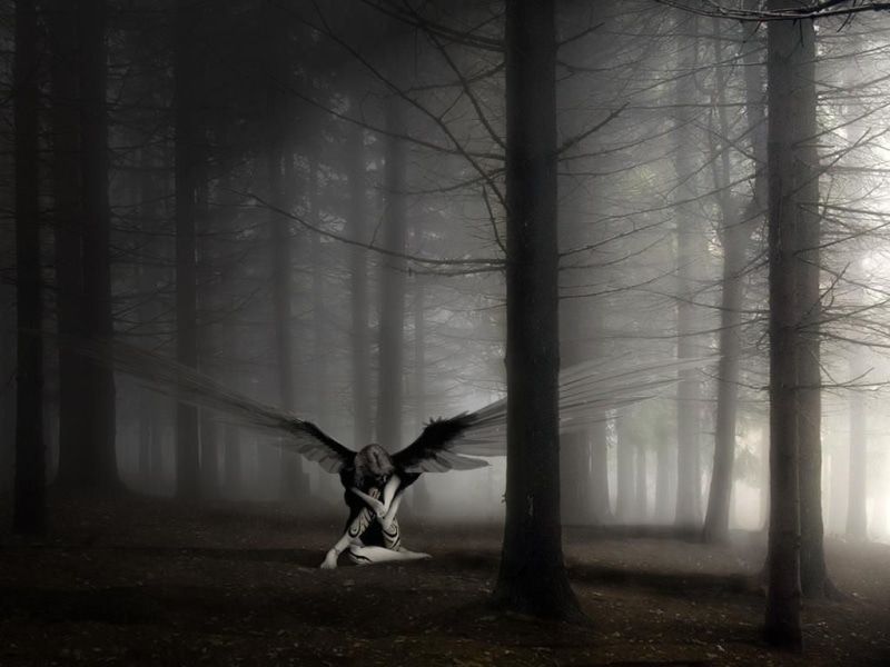 lifestyles, land, trunk, tranquility, fantasy art, tree trunk, wings, sitting, fog, 480P, woman, one person, angel, day, nature, plant, woodland