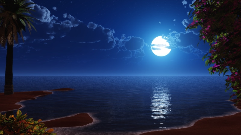 sea, moonlight, beach, night sky, fantasy landscape, ocean, full moon, calm, sky, tropics, landscape, 4K, night, moon, water, fantasy art, horizon, seascape