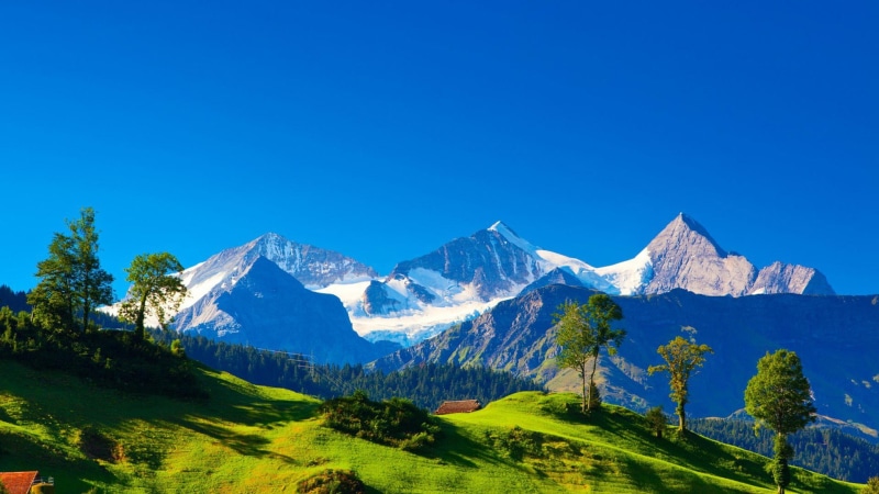 snow, nature, mountain, no people, plant, outdoors, non-urban scene, snowcapped mountain, environment, trees, landscape, beauty in nature, copy space