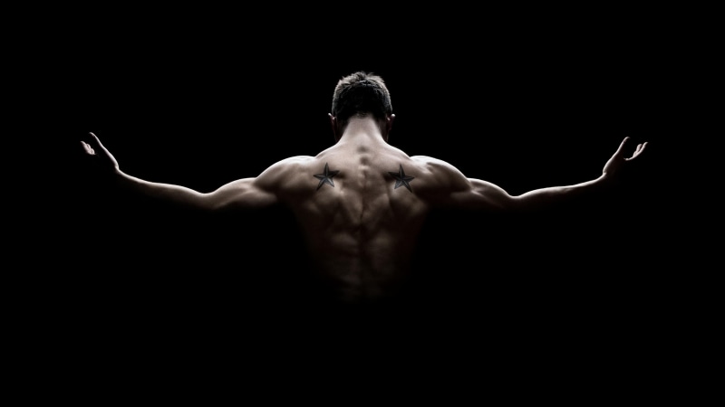bodybuilding, human body, arm, human, darkness, bodybuilder, muscles, hand, dark, man, muscle, 4K, back, chest