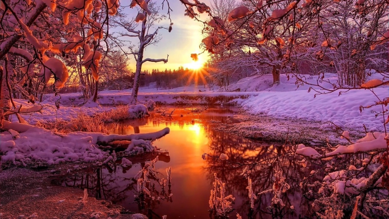1080P, trees, forest, sunset, nature, snow, sunray, winter, landscape, snowy