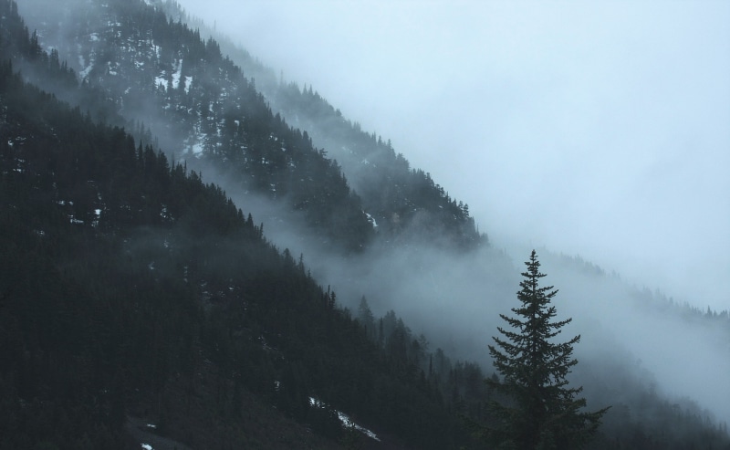 mountain, outdoors, fog, Canada, forest, trees, 4K, landscape photography, tress, nature, photography, clouds, snowy, mist, snow, cold, British  Columbia