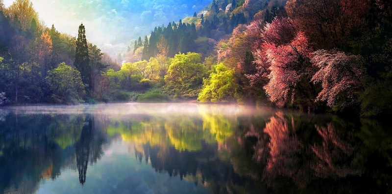 body, reflection, 720P, green, south, south korea, mountain, landscape, spring, lake, sunrise, forest, mist, along, nature, water, korea