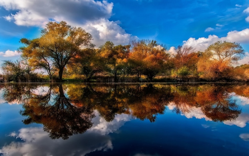 cloud - sky, brown, water, trees, symmetry, nature, waterfront, blue, tree, change, scenics - nature, reflection, calm, shrubs, fall, reflection lake, 1080P