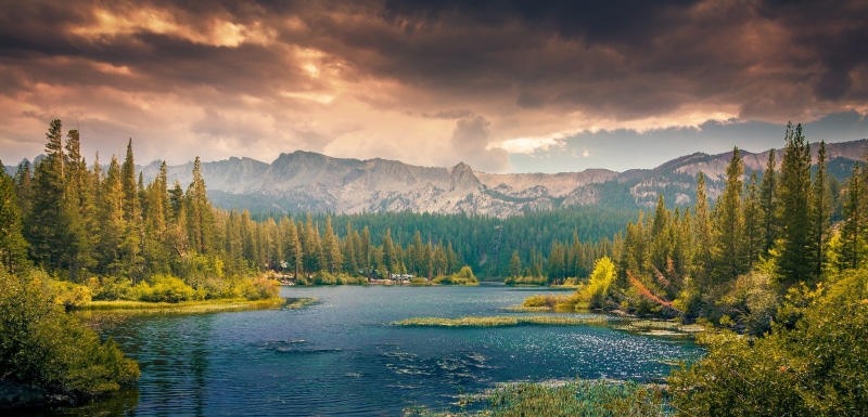 black, woodland, banff National Park, mountain Range, outdoors, pine tree, lake, sky, cloud - Sky, tranquil Scene, sunset, landscape, scenics - nature