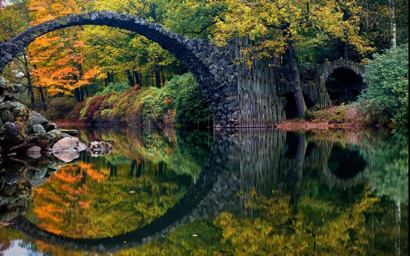october, surrounded, change, tranquil Scene, green Color, rural Scene, lush Foliage, Germany, water, woodland, park - Man Made Space, plant, black, forest