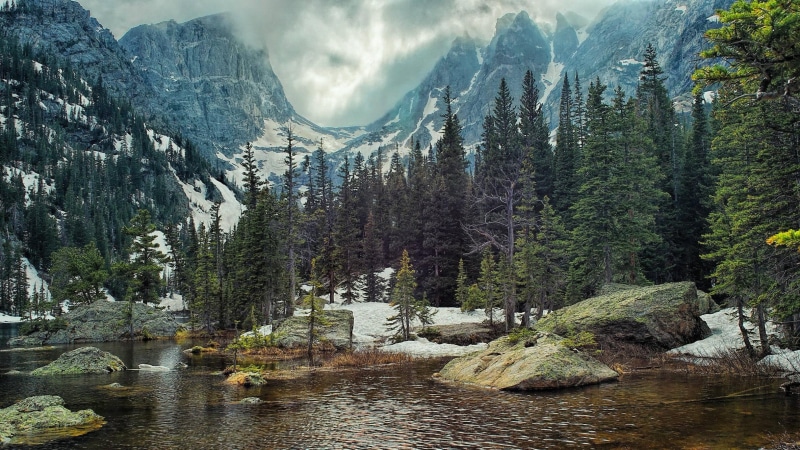 nature, tranquil scene, pine tree, tranquility, land, rock, plant, mountain, sky, pine trees, coniferous tree, 1080P, day, tree, water, pine woodland