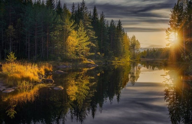 yellow, water, scenics, fall, golden, cloud - Sky, no People, body, reflection, waterfront, travel, plant, morning, leafed, near, Finland, sunrise - Dawn