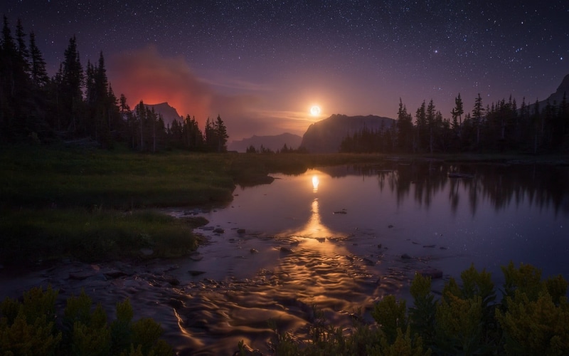 plant, idyllic, lake, water, Glacier National Park, Montana, non-urban scene, tree, no people, space, night, Moon, shrubs, star - space, star, beauty in nature