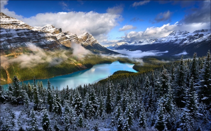 painting, forest, lake, cold temperature, nature, body, snow, tree, coniferous tree, blue, clouds, mountain range, mountain, outdoors, white, environment
