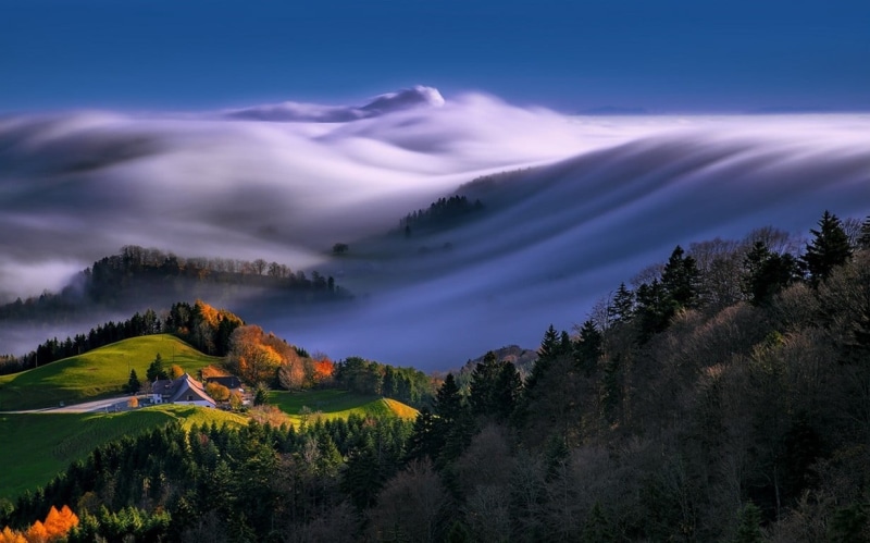 farm, pine woodland, mist, hill, woodland, painting, fall, cloud - sky, trees, tranquility, pine tree, twilight, Switzerland, sky, landscape, waves, nature