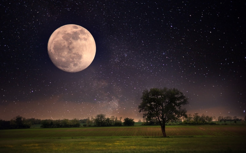 full moon, beautiful scene, scene, landscape, Nature, Night, lonely tree, 2K, sky, moon, stars