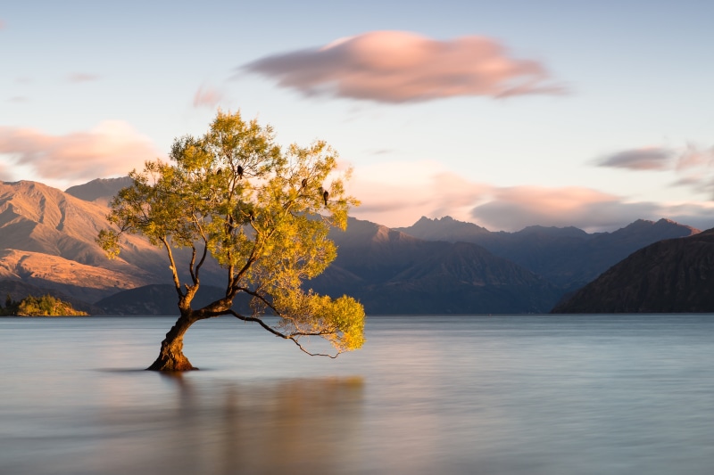 wanaka, reflection, water, body of water, Lago, leaf, 4K, autumn, reflected, landscape, green leaf, clear, Lake Wanaka, sky, scenics, clouds, outdoors