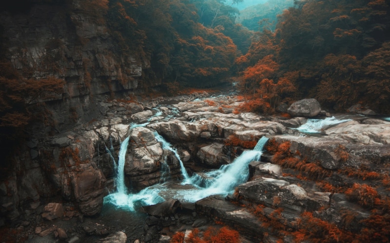 cliff, wilderness Area, 1080P, rock - Object, solid, day, beauty In Nature, rock, waterfalls, tree, outdoors, trees, river, nature, flowing, pollution