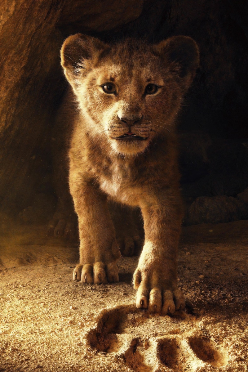 5K, movie, king, lion, poster
