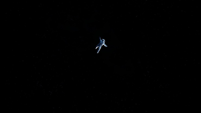 nature, animal themes, animal, bird, one animal, black background, mid-air, no people, animals in the wild, air vehicle, vertebrate, copy space, night