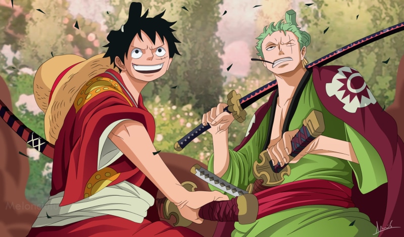 Anime, Zoro Roronoa, Monkey D. Luffy, One Piece, 1080P