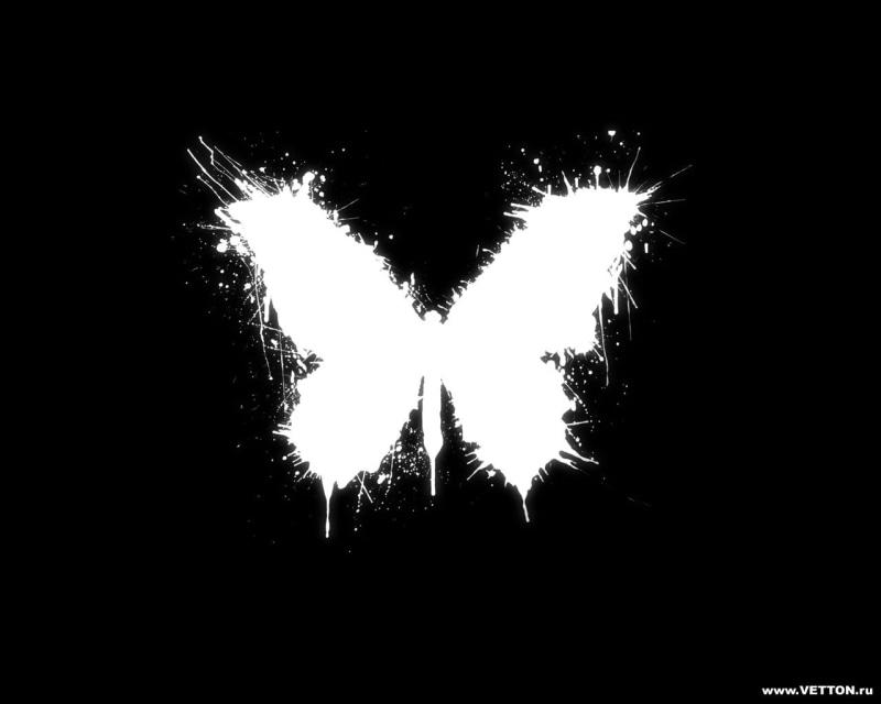 butterfly, no people, plant, illuminated, copy space, nature, firework display, minimalism, white, silhouette, outdoors, dark, clear sky, firework, monochrome