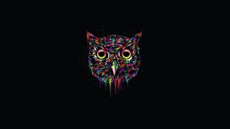 Owl, Background, Design, Black, illustration, purple, 1080P, red, Colorful, green, Creative