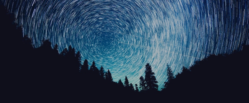 sky, silhouette, astronomy, nature, no people, 2K, space, star - space, cyan, plant, tranquility, scenics - nature, star trail, tree, night, landscape