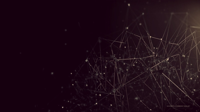 fragility, plant, monochrome, wet, Lacza, spider web, 2K, focus on foreground, wires, abstract, digital art, night, lines, close-up, complexity