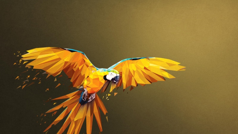 digital art, low poly art, graphics, wing, macaw, low poly, polygon, bird, geometric, parrot, polygonal, 4K