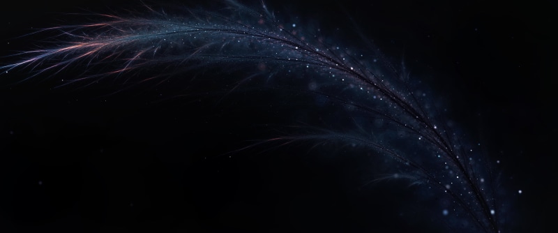 copy space, no people, firework display, sky, softness, nature, night, indoors, 2K, dark, firework, exploding, smoke - physical structure, feather, illuminated