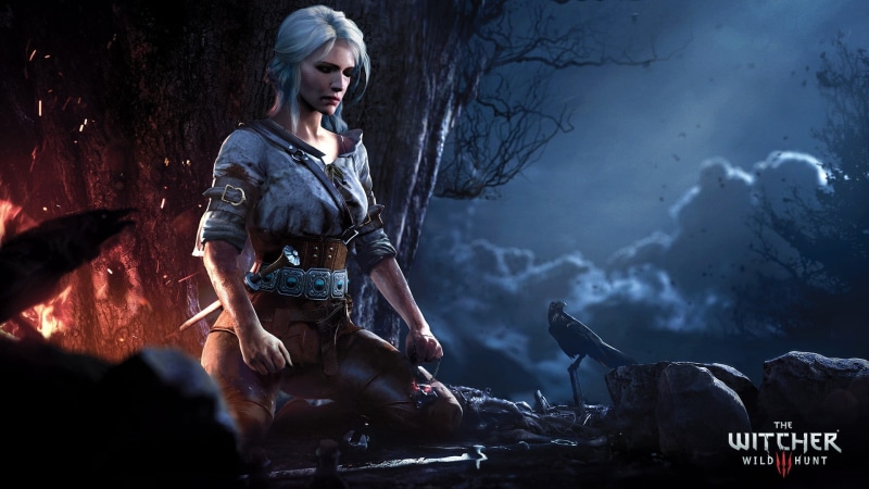 fantasy, activity, communication, looking, The Witcher 3: Wild Hunt, 1080P, forest, Cirilla Fiona Elen Riannon, PC gaming, women, young adult