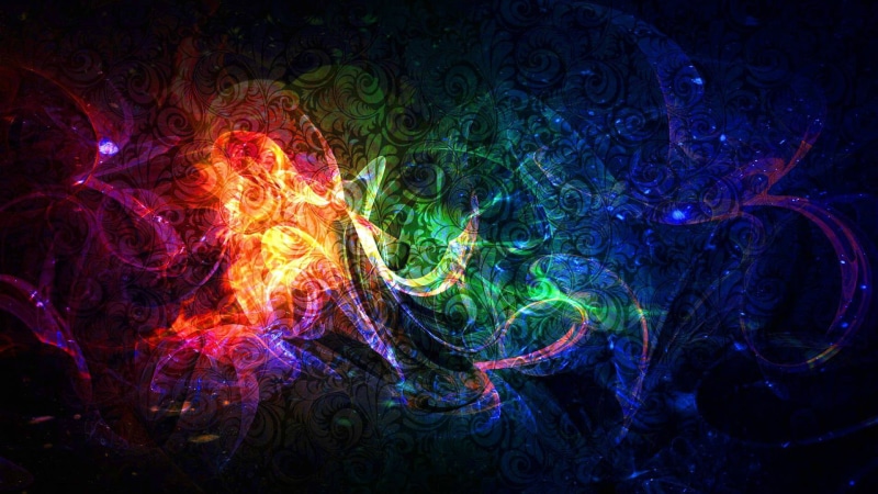 rainbow, dynamic, dark, indoors, artistic, creativity, no people, design, animal, science, soft, art, swirl, invertebrate, abstract, graphic, flow, motion