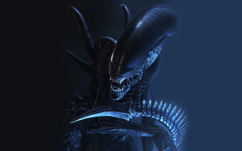 studio shot, screenshot, art and craft, vs, animal, vertebrate, one animal, Xenomorph, dark, night, indoors, Alien (movie), aliens, predator, animal body part