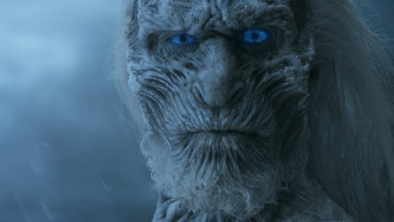 no people, gray, Game of Thrones, animal body part, primate, animal wildlife, 1080P, knight, gorilla, focus on foreground, thrones, animal eye, king, mammal