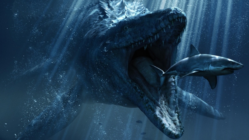 prehistoric animal, 4K, big, food, animal, shark, eat, ocean, fantasy art, blue