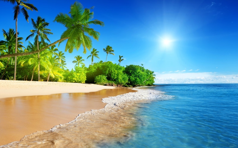 tropical, island, ocean, sunlight, nature, 2K, hd, beach, palm, tree