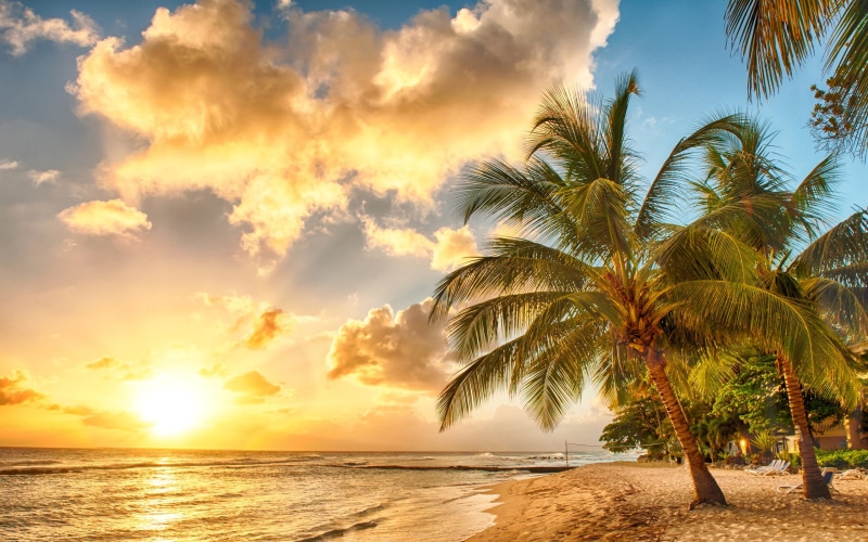 Sea, Sunset, Paradise, Beach, Ocean, 2K, Palm, palms, Tropical