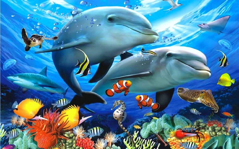 animals, fish, 1080P, paintings, art, sea, waves, exotic, sip, landscape, marine, corals, paradise, ocean, colorful, underwater, dolphins