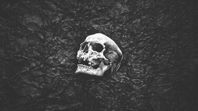 monochrome, high angle view, 1080P, no people, nature, artwork, abstract, skeleton, black, human, white, land, simple, day, outdoors, skull