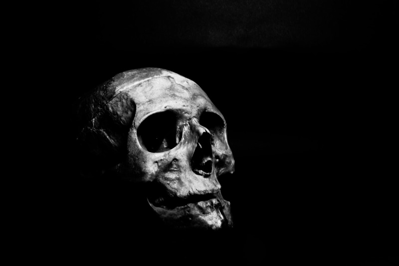 eerie, human skeleton, skull, skeleton, human bone, human body part, the past, human skull, dark, close-up, black background, creepy, 5K, body part, fear