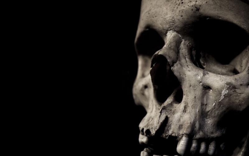 skeleton, history, sadness, the past, human face, 720P, anatomy, bone, human skeleton, human bone, horror, body part, human body part, bones, black background