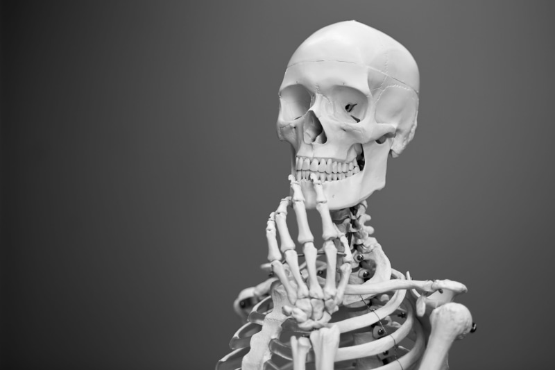 human, people, indoors, studio shot, model, anatomical, skull, biology, pose, representation, ribs, human skull, healthcare and medicine, head, human skeleton