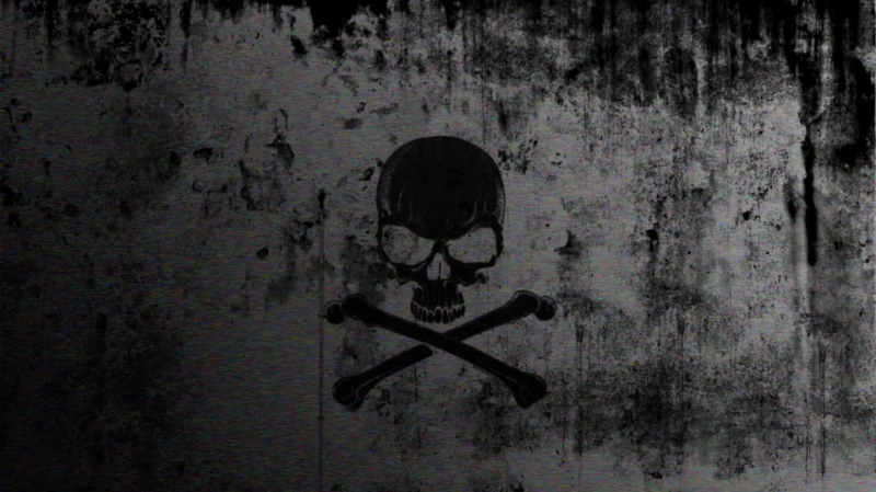 logo, dark, textured, weathered, bone, full frame, wall, digital composite, day, 1080P, skull, death, horror, wood - material, creativity, black color