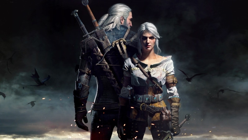 aggression, witcher, animal wildlife, sign, communication, young adult, social issues, looking, waist up, three quarter length, smoke - physical structure